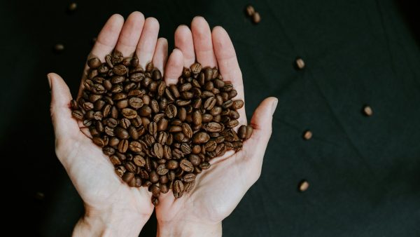 Mãos de um homem segurando grãos de café na mão representando o amor pela bebida no dia nacional do café
